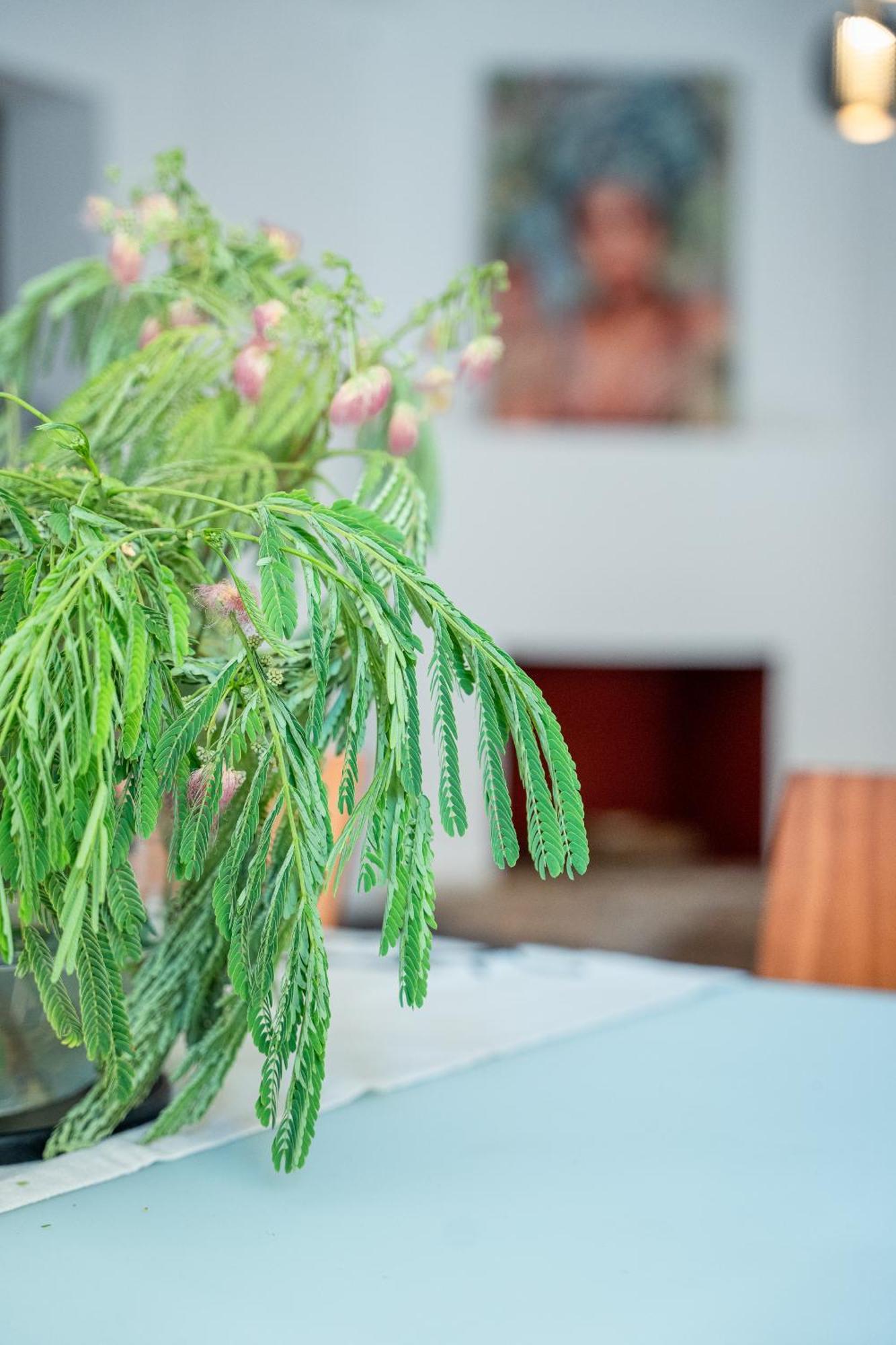 Otium Living Apartment โวโลส ภายนอก รูปภาพ